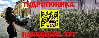 гашик Абакан